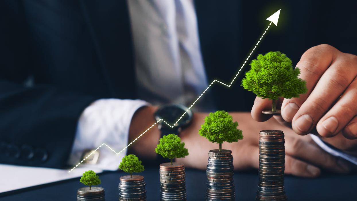 Finanzas - RDA ADVISORY